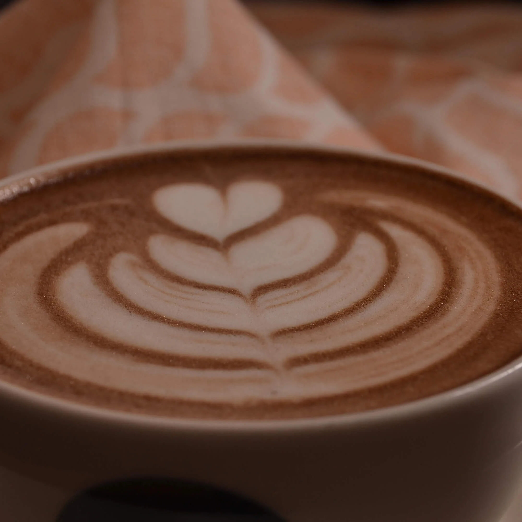 40% Arabica - 60% Robusta Roasted Coffee Beans Bulk Blend - Image 4