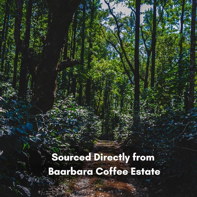 100% AAA Grade Roasted Arabica Coffee Beans - Image 2