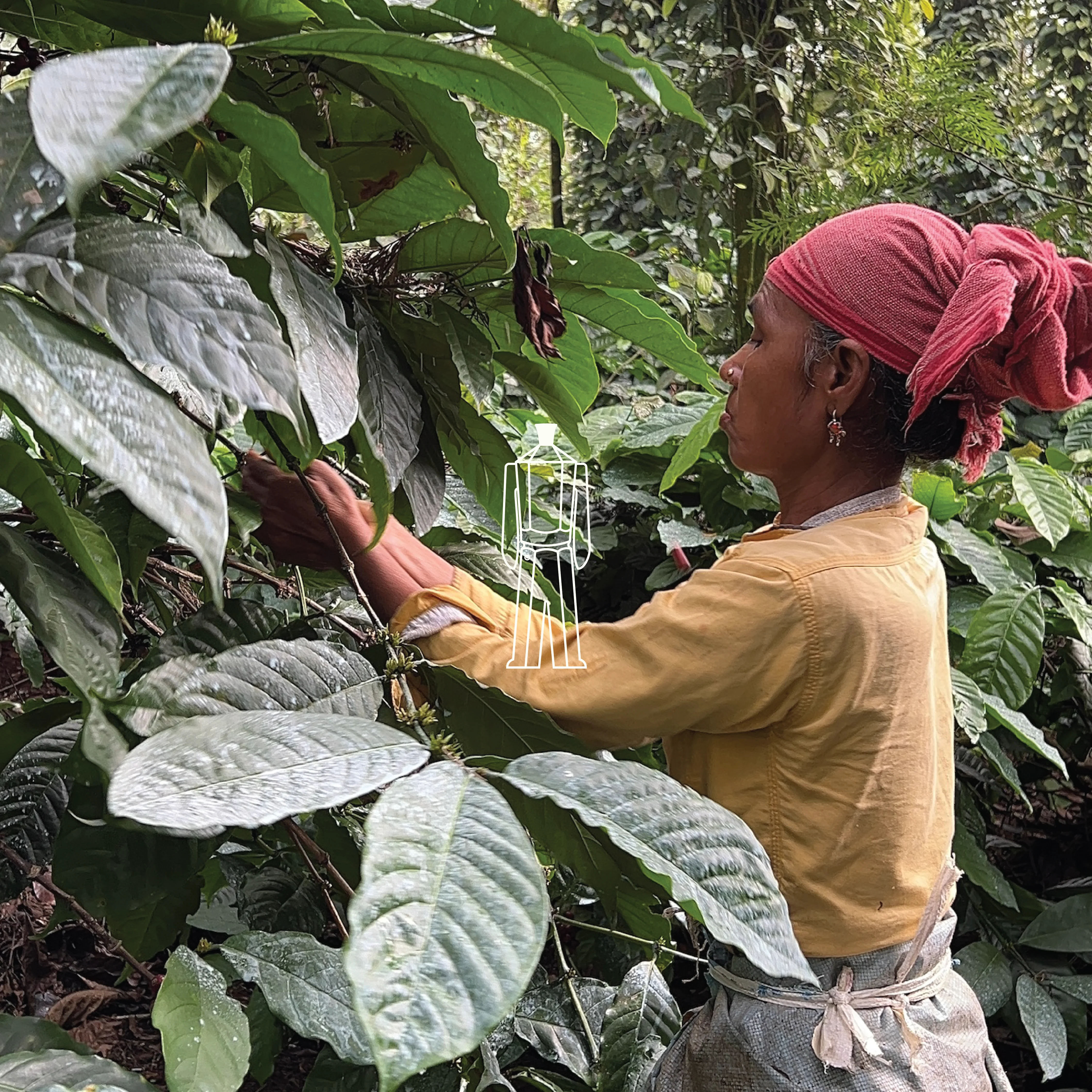 Balur Estate (Dark Roast) - Image 5