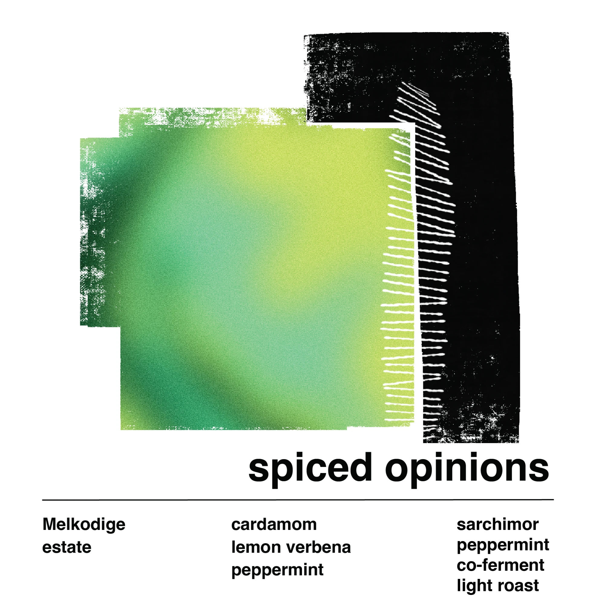 Spiced Opinions ( SCA 88.5 ) by Bitter Waters Coffee