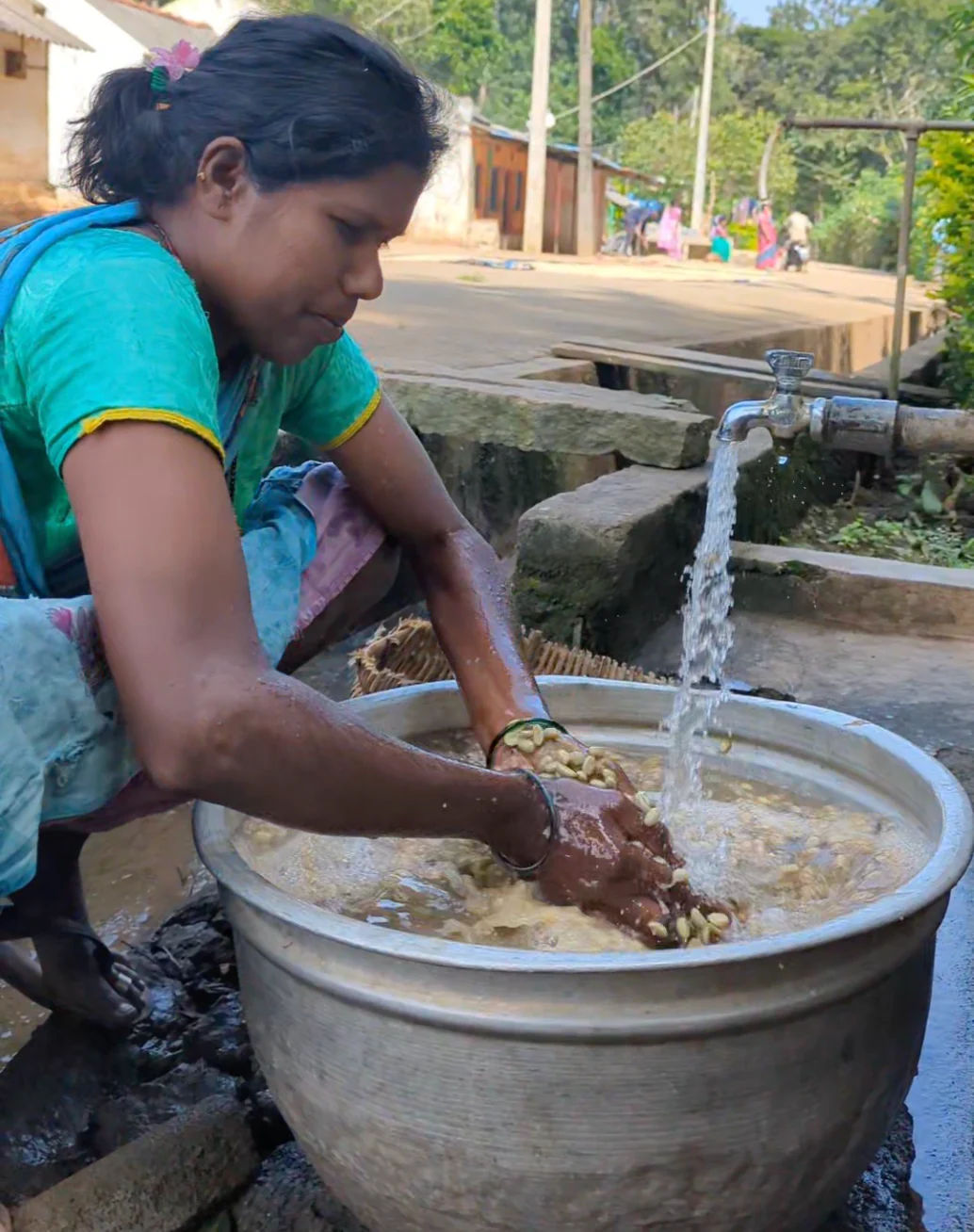 Microlot 36 | Anaerobic Fermentation of Washed Arabica - Image 3