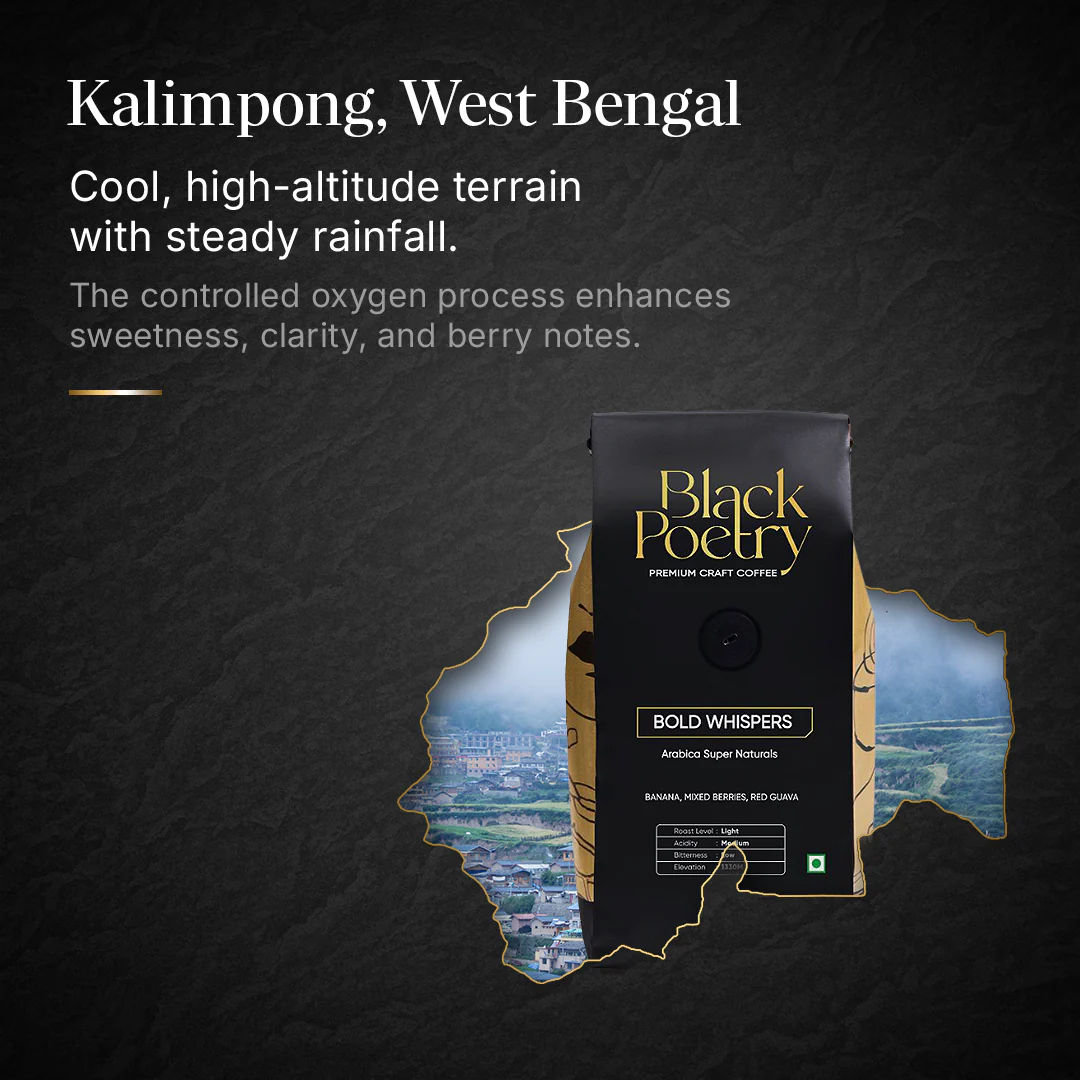 BOLD WHISPERS - Image 5