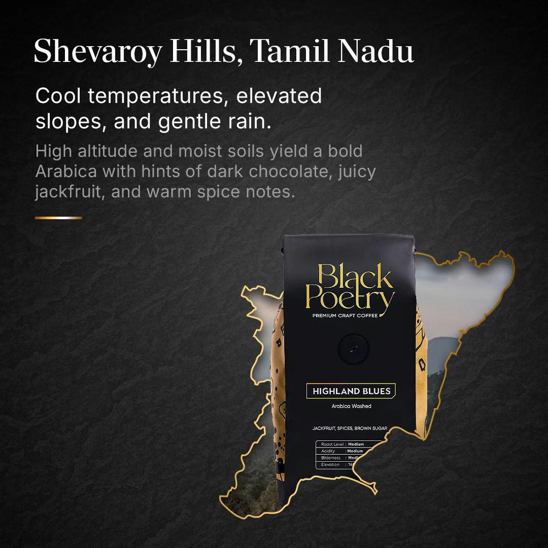 HIGHLAND BLUES - Image 5