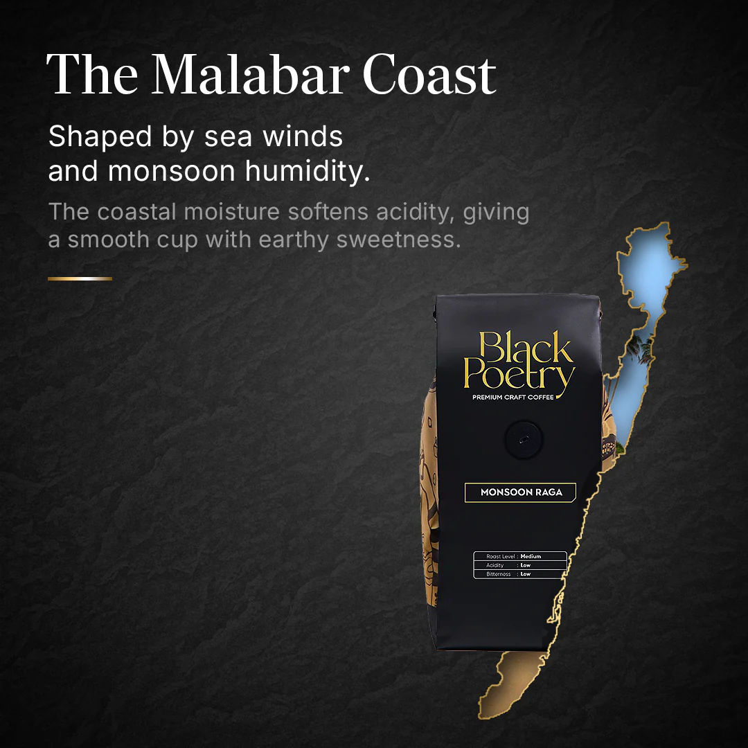 MONSOON RAGA - Image 5