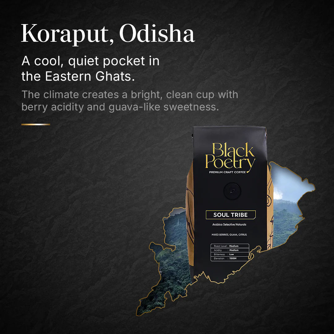 SOUL TRIBE - Image 5