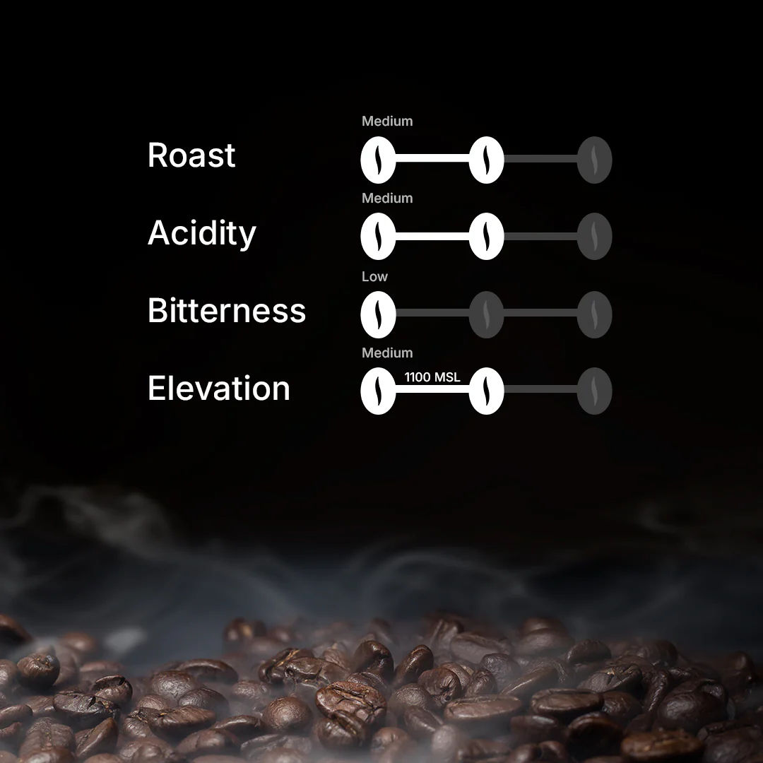 SOUL TRIBE - Image 7