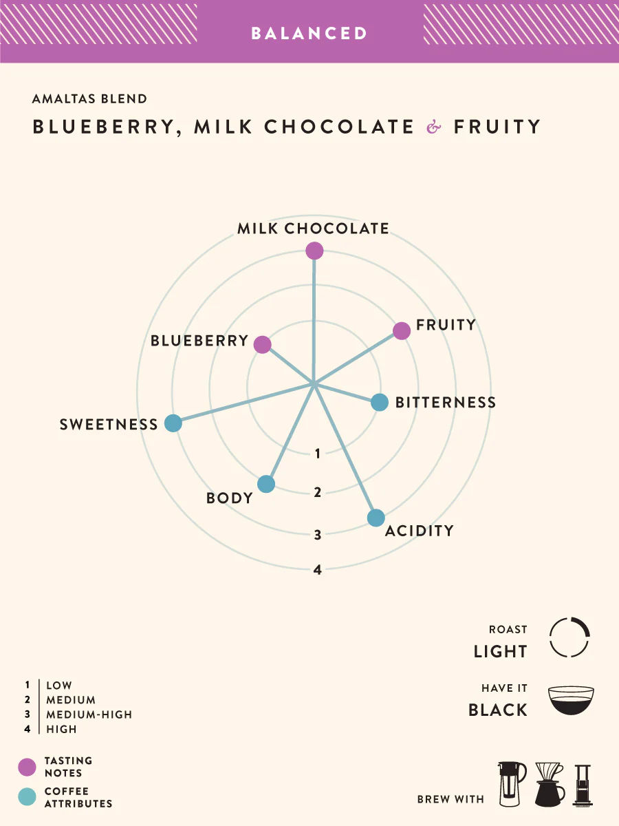 Amaltas Blend- Buy Freshly Roasted Coffee Beans Online - Blue Tokai Coffee Roasters