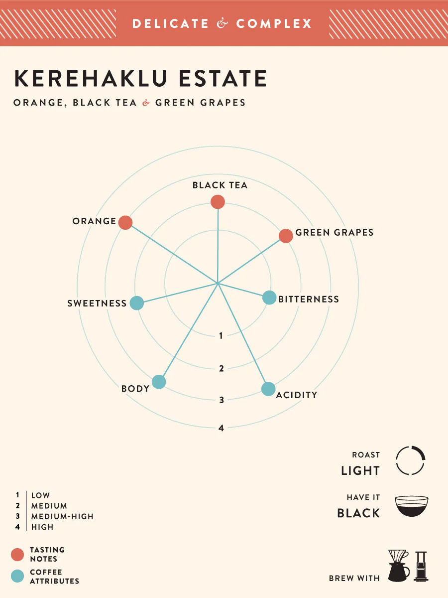 Kerehaklu Estate - Image 2