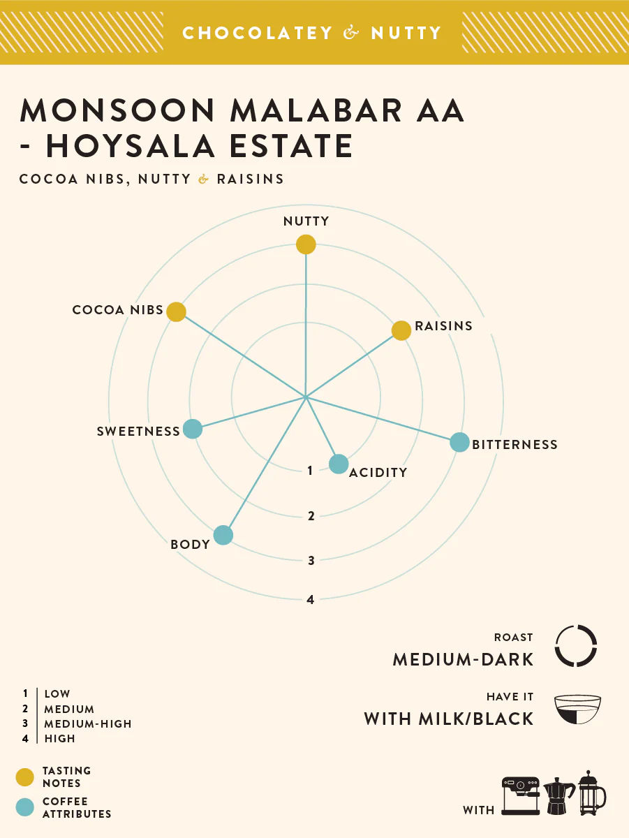 Monsoon Malabar AA- Hoysala Estate - Image 2