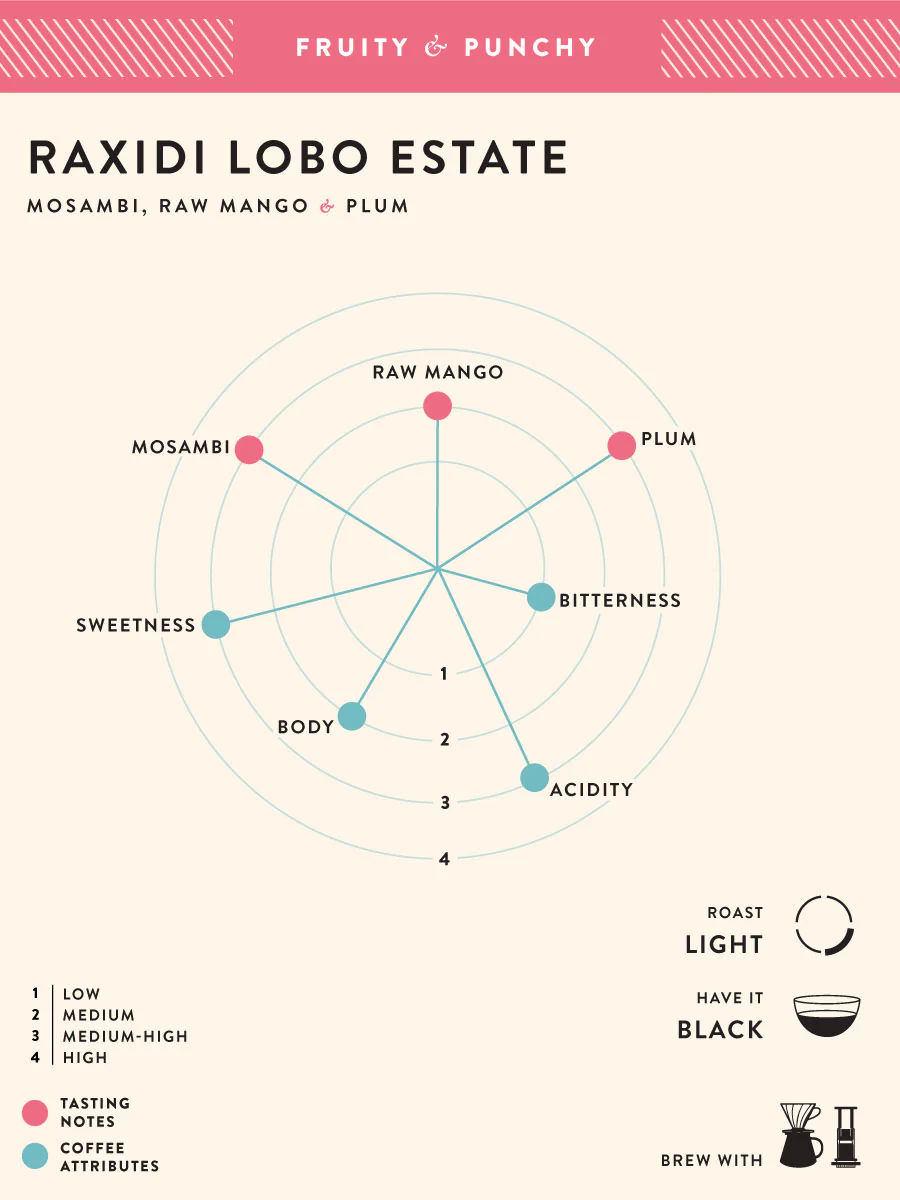 Raxidi Lobo Estate - Image 2