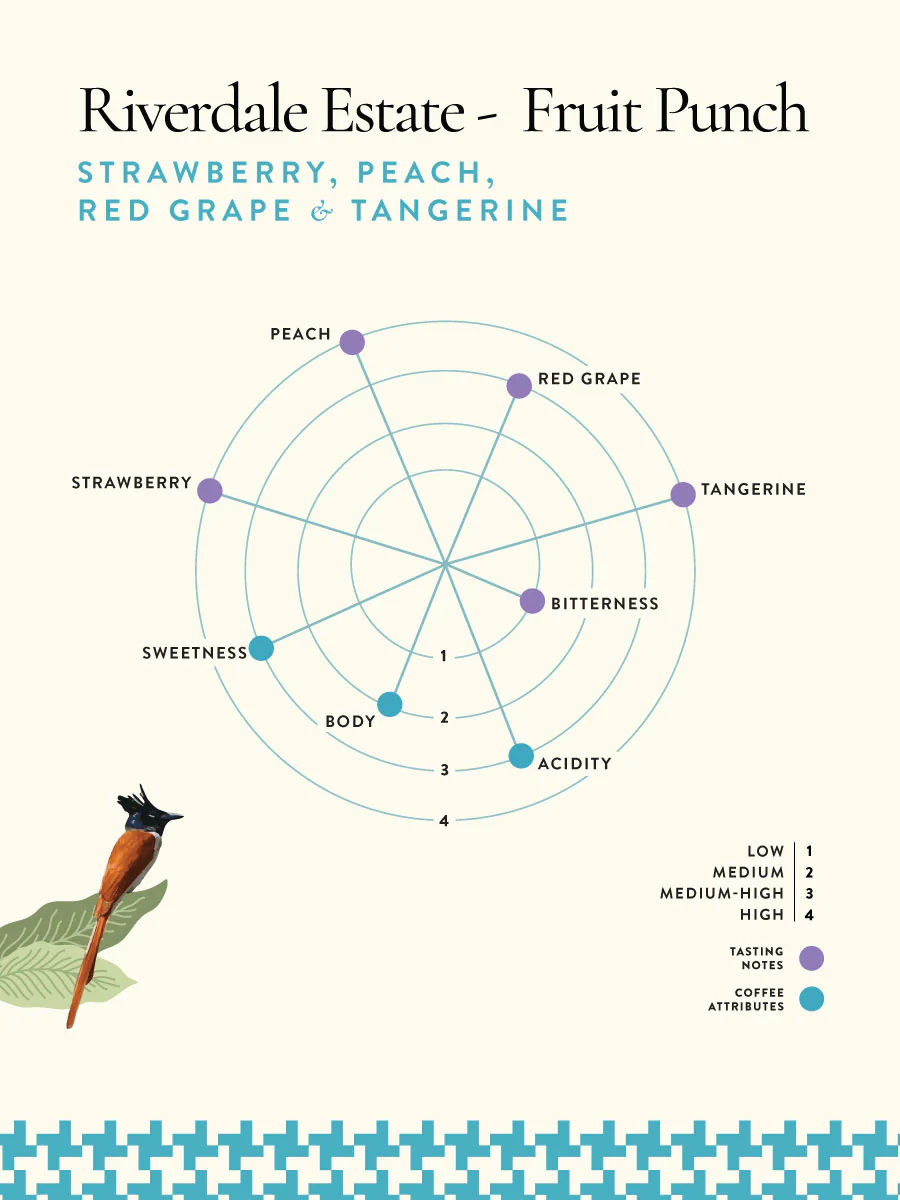 Riverdale Estate – Fruit Punch - Image 2