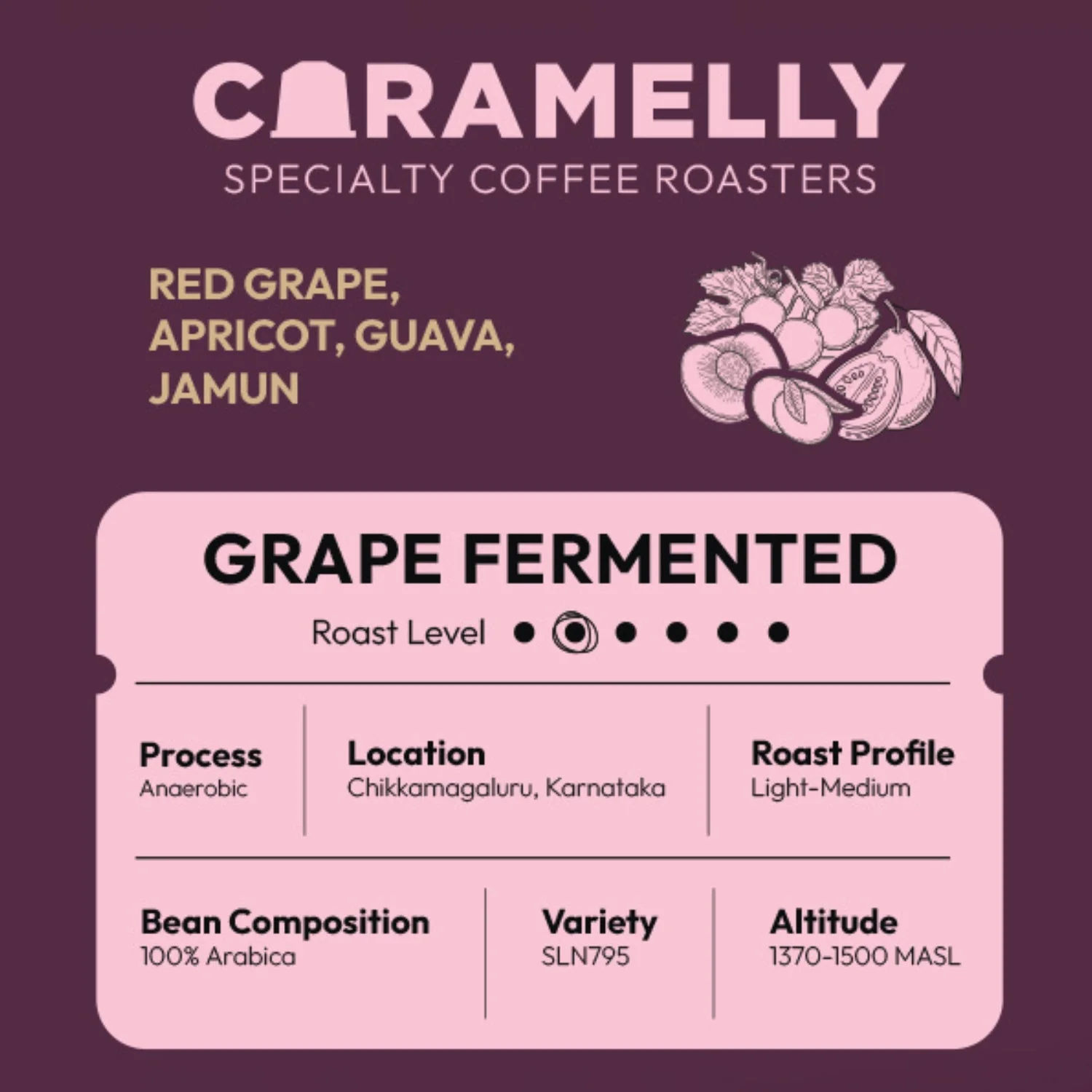 Caramelly Grape Fermented Coffee - Caramelly
