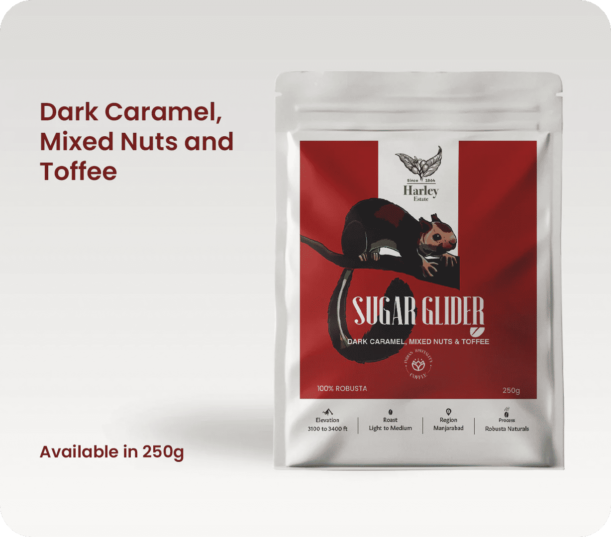 THE ROBUSTA SERIES - Image 2