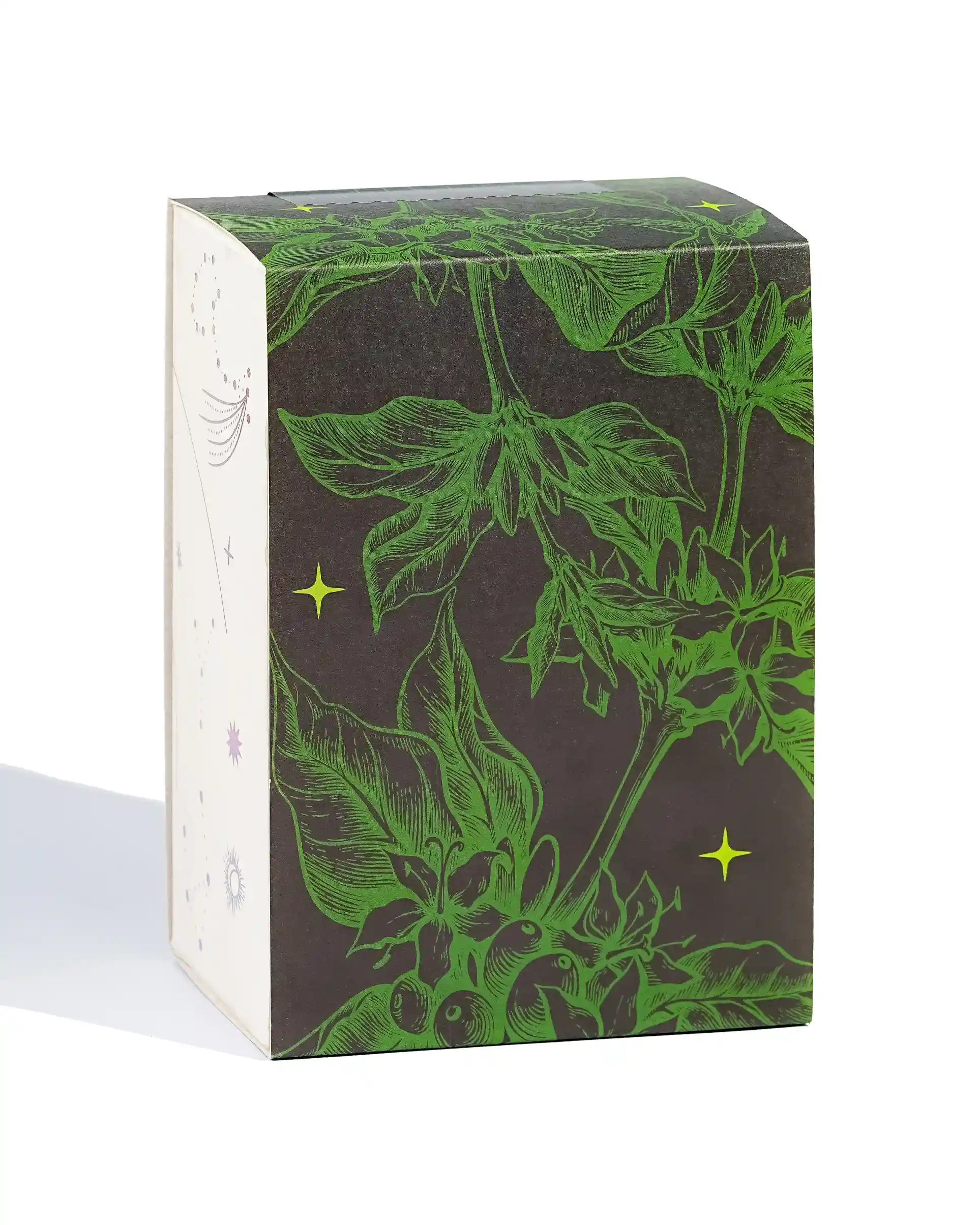 Couverture Canephora - Filter Roast - Pre-Order Now - Image 3