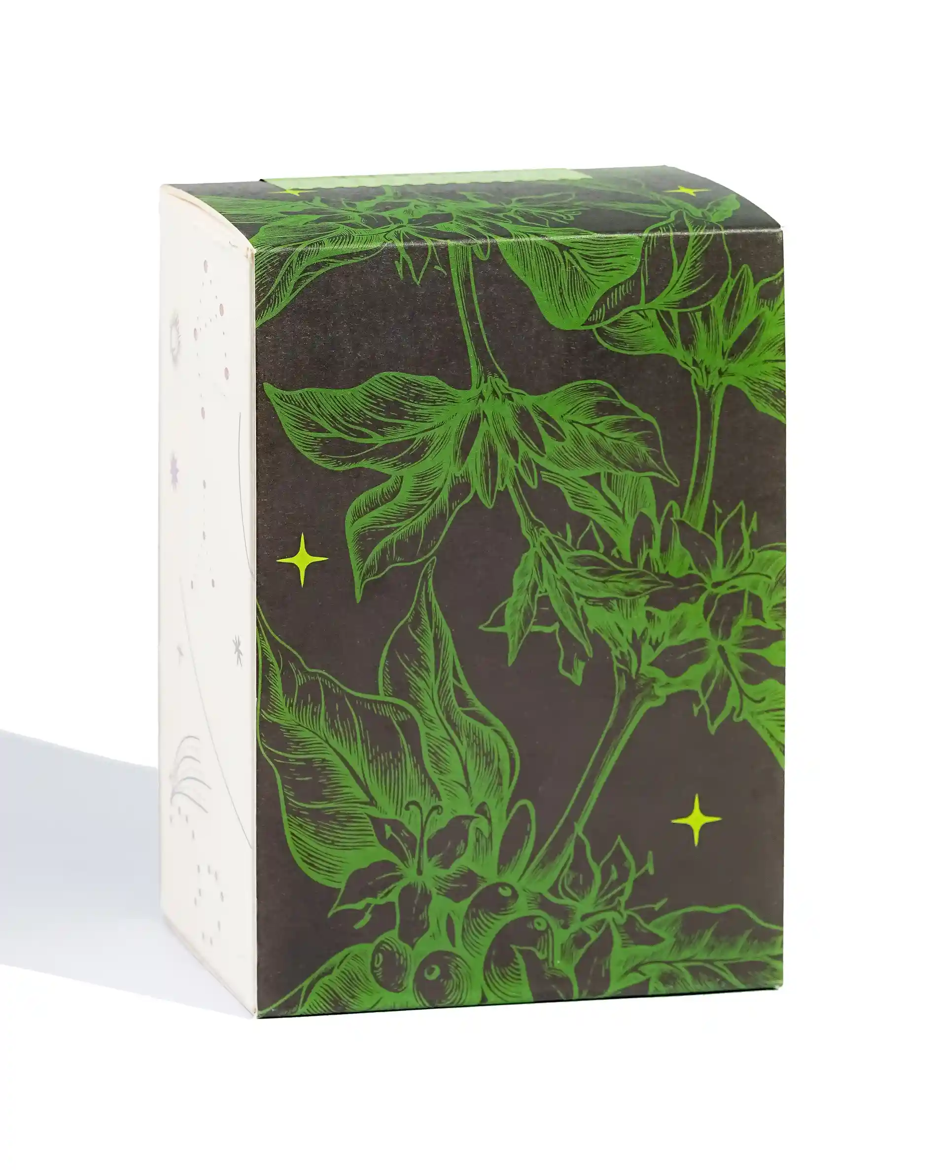 Couverture Canephora - Espresso Roast - Roasted on 24/11 - Image 4