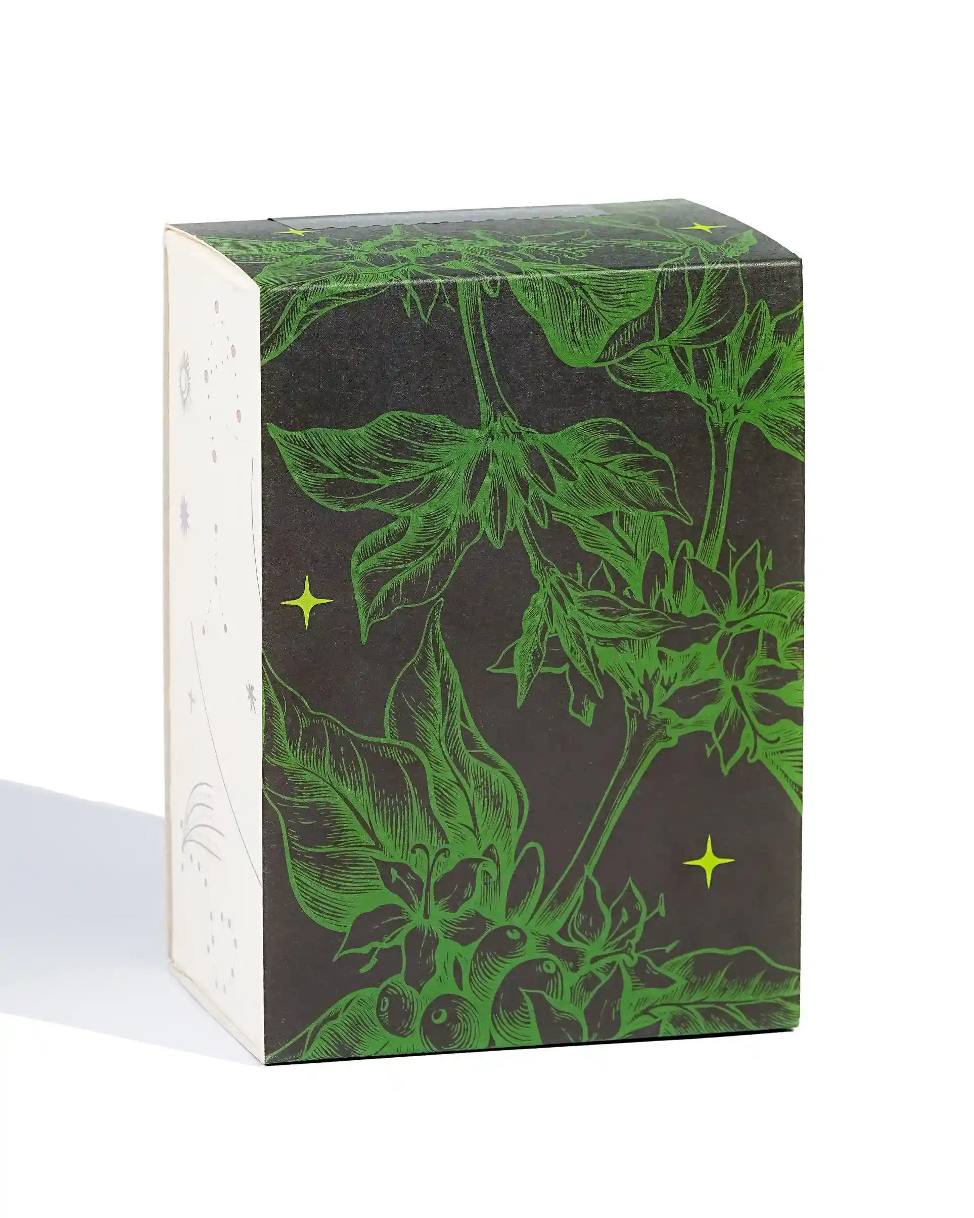 Robustas of Coorg - Roasted on 14/01 - Image 3