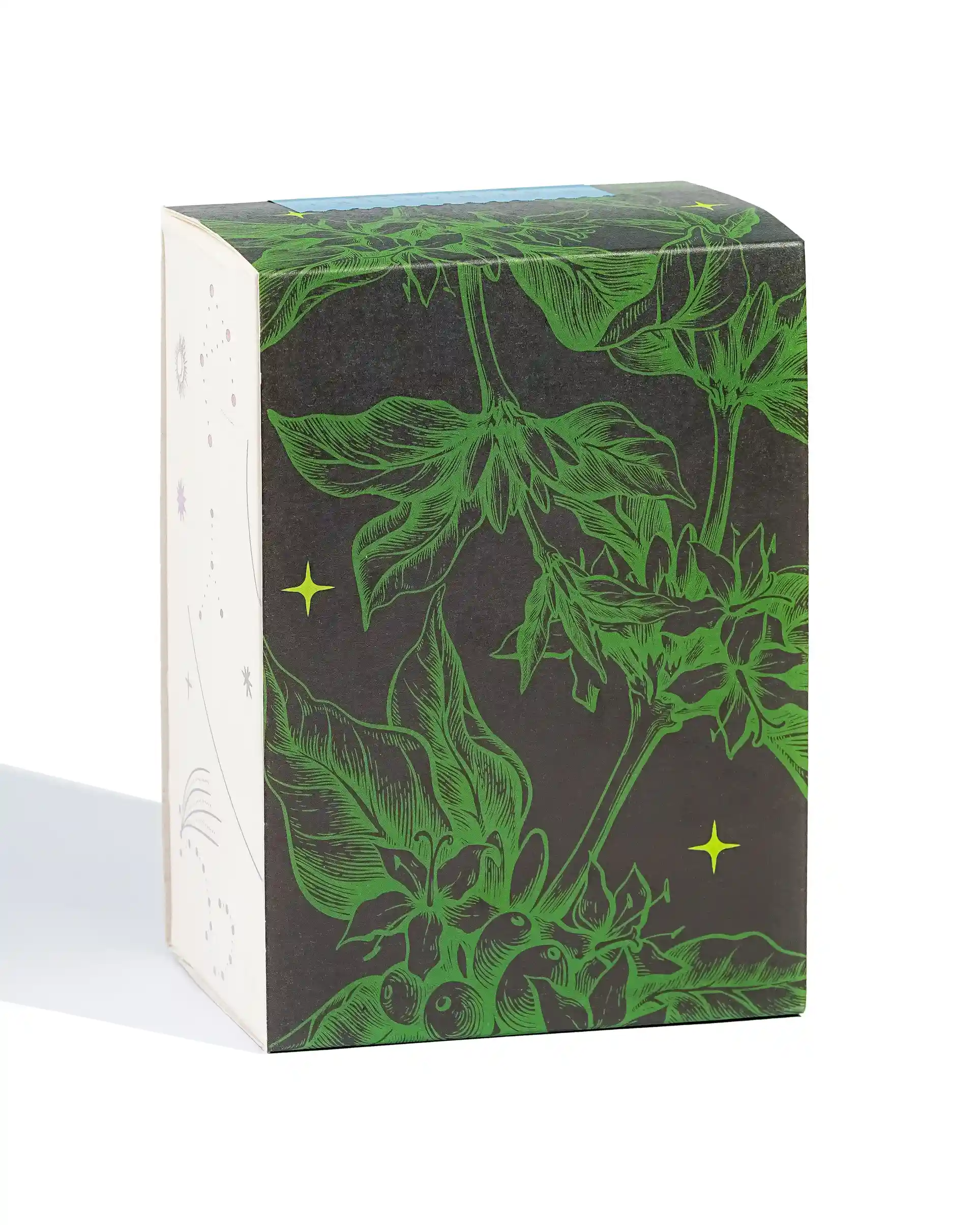 Thermal Shock - Image 2