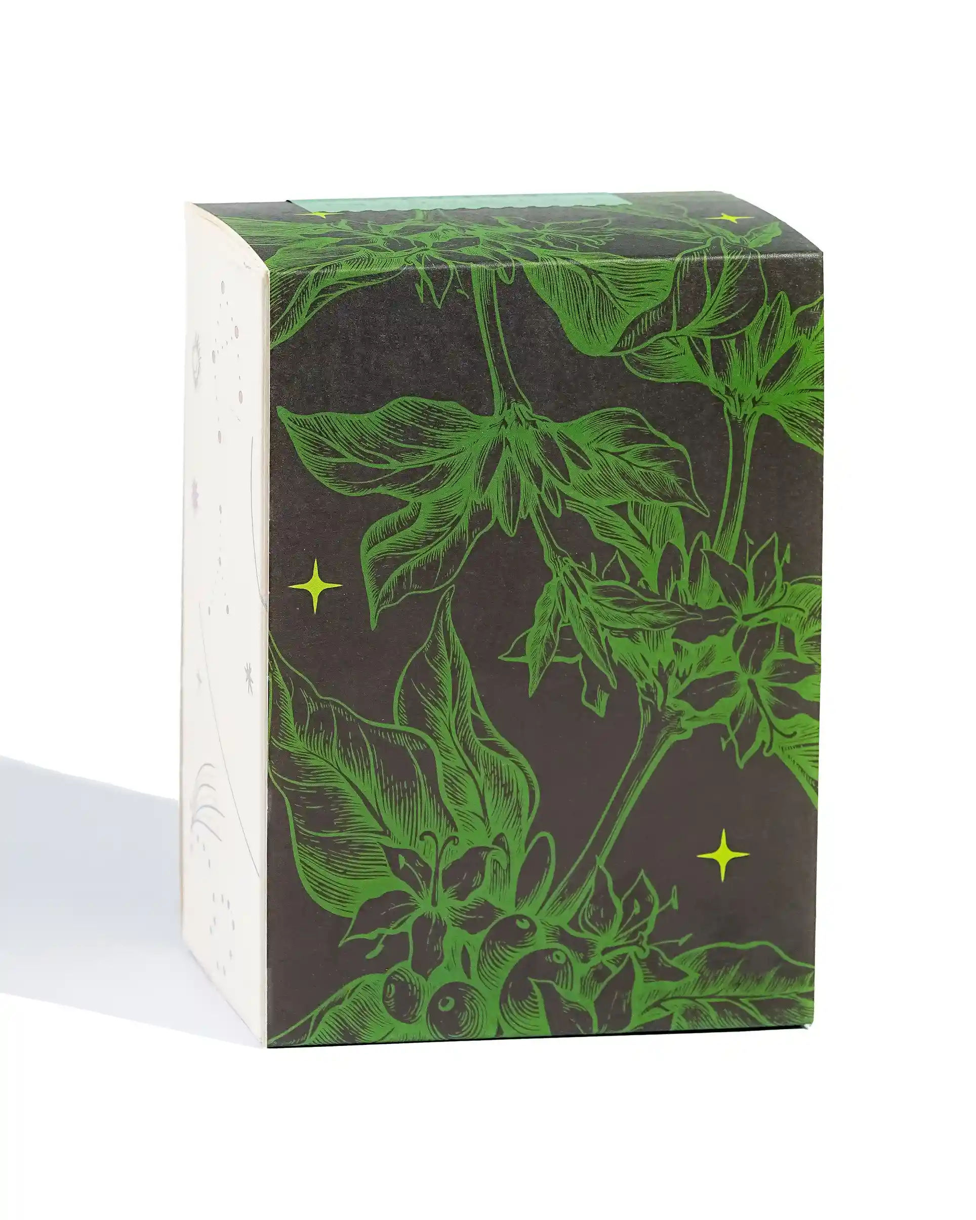 The Tropical - Roasted on 12/01 - Image 3