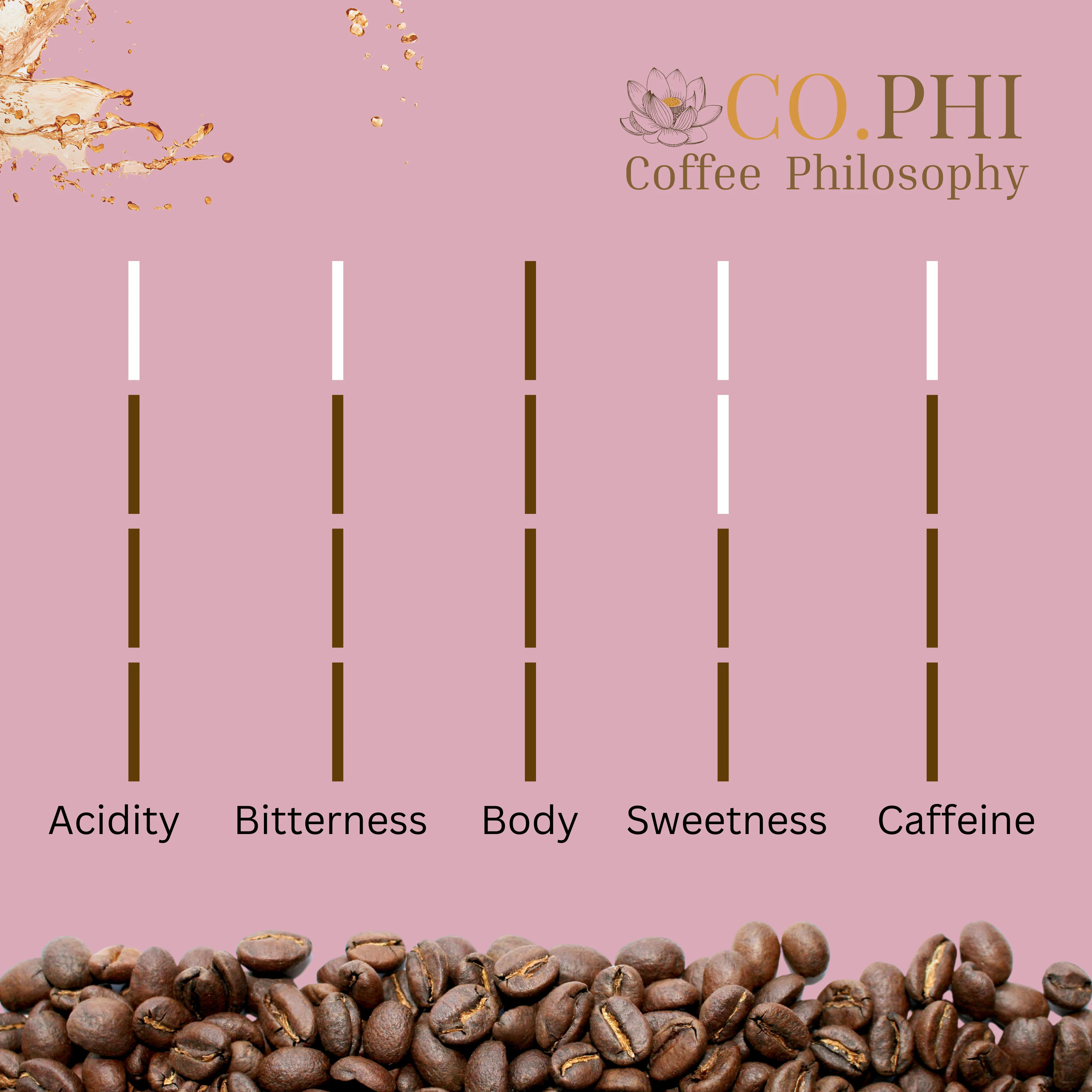 Vienna Roast - Image 4