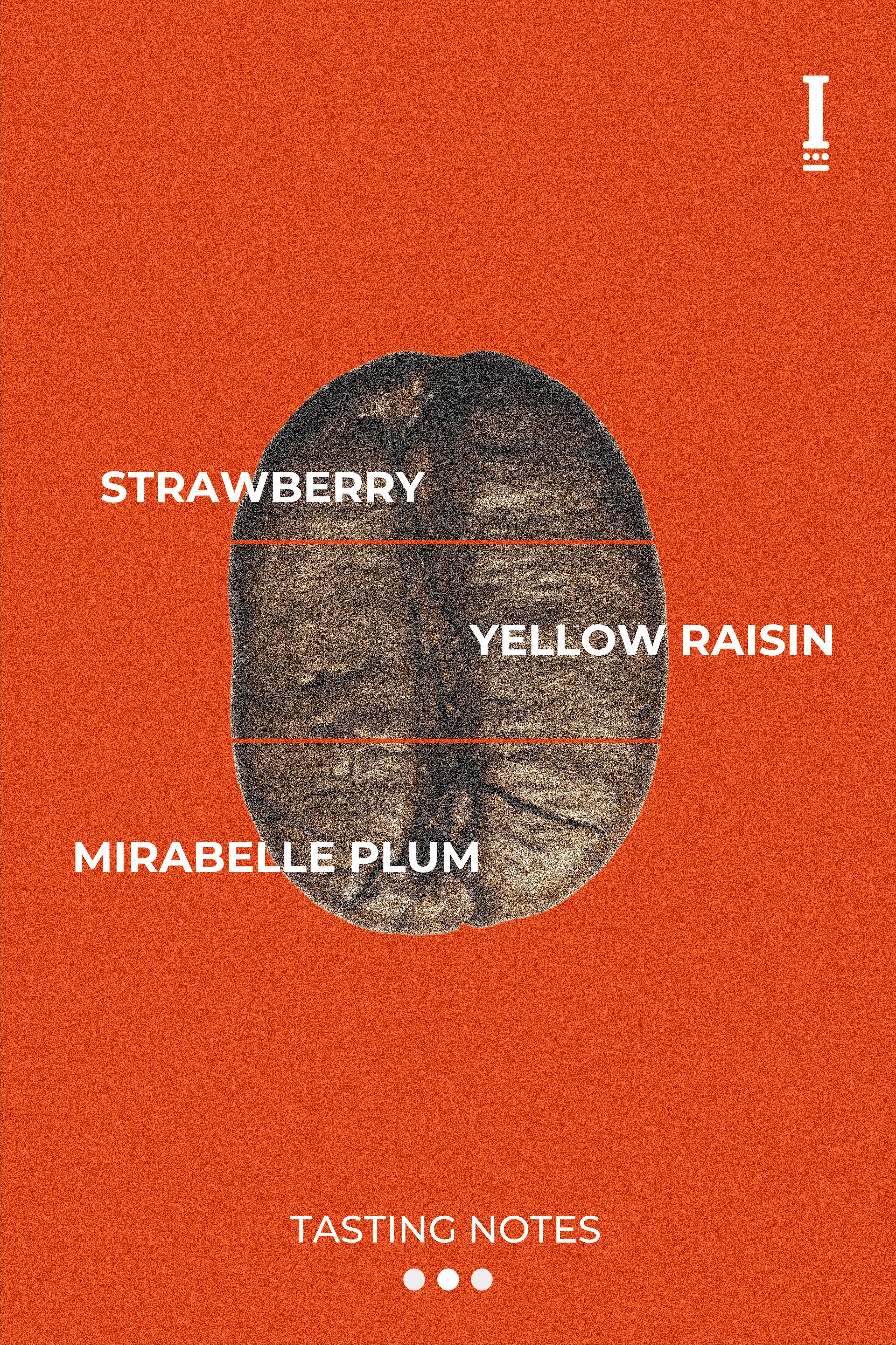 Ratnagiri Estate Naturals - Image 2