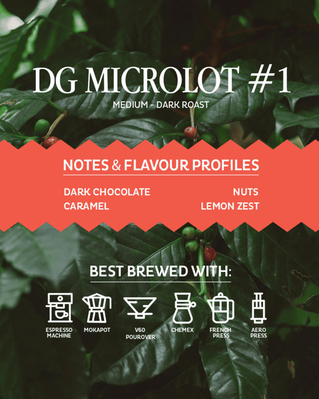 DG Microlot #1