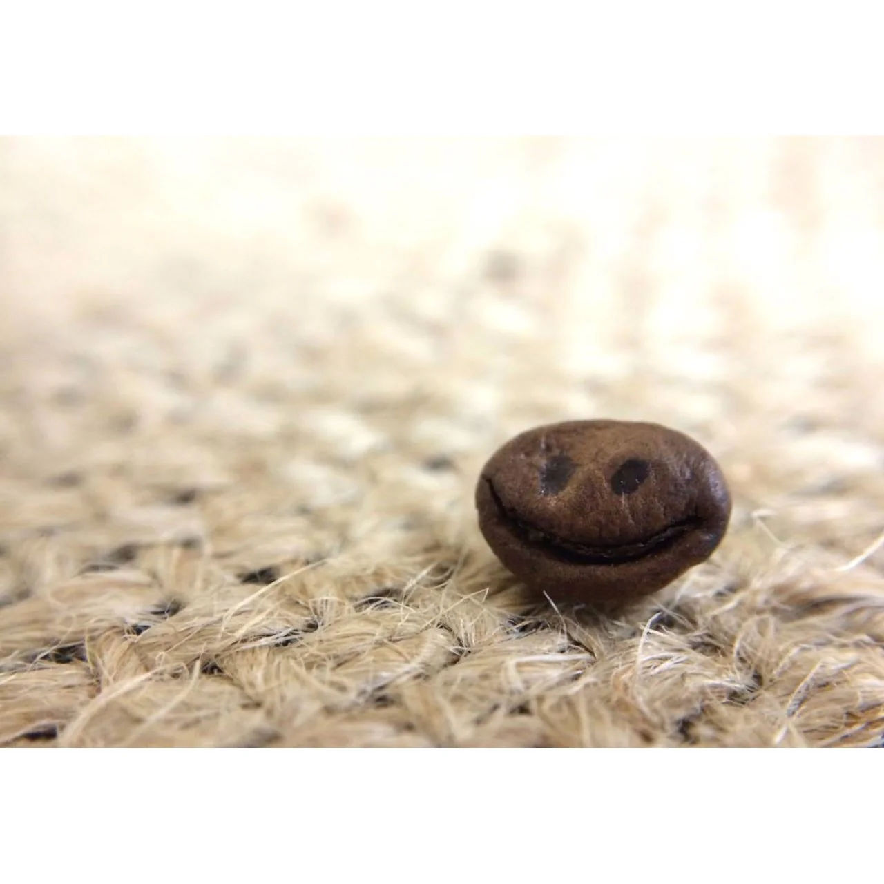 ARABICA PLANTATION - AA COFFEE - Image 2