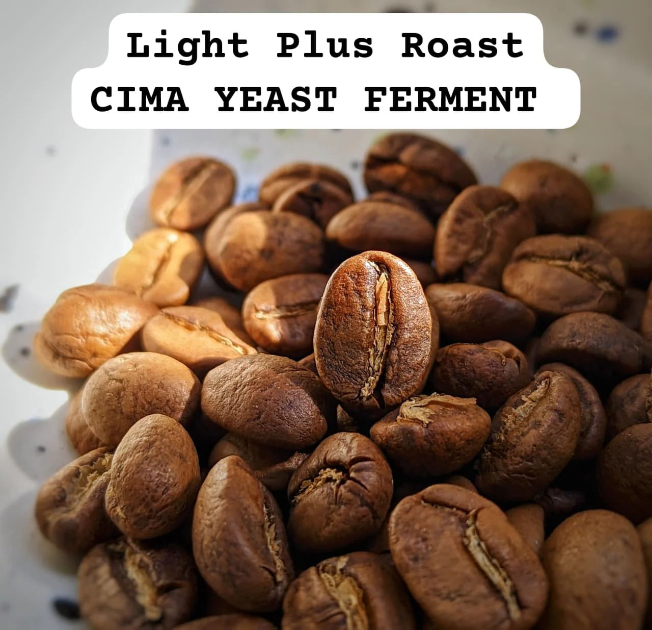 RADIANCE : CIMA Yeast Ferment - Kalyancool Estate - Image 2