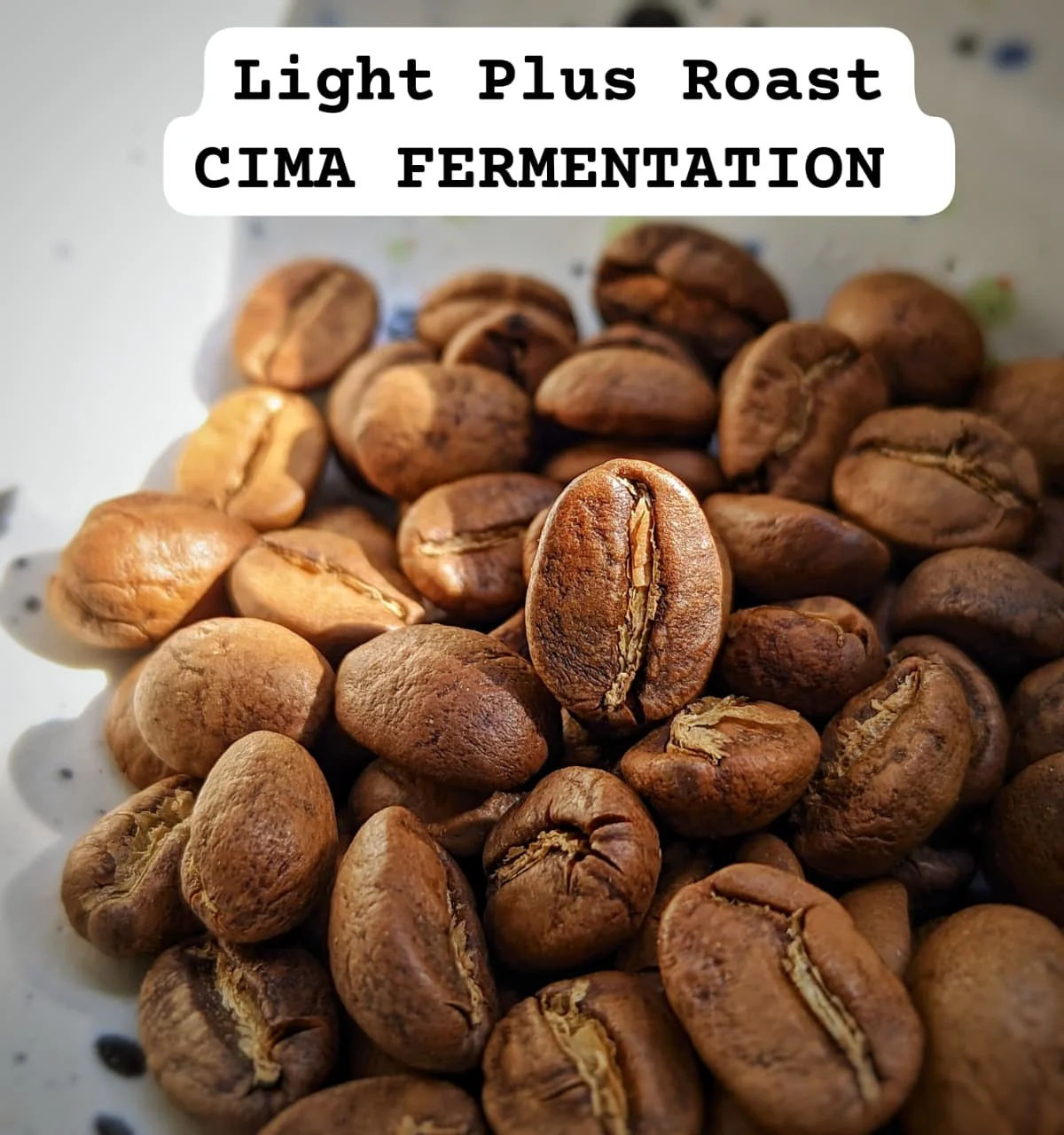 RADIANCE : CIMA Yeast Ferment - Kalyancool Estate - Image 3