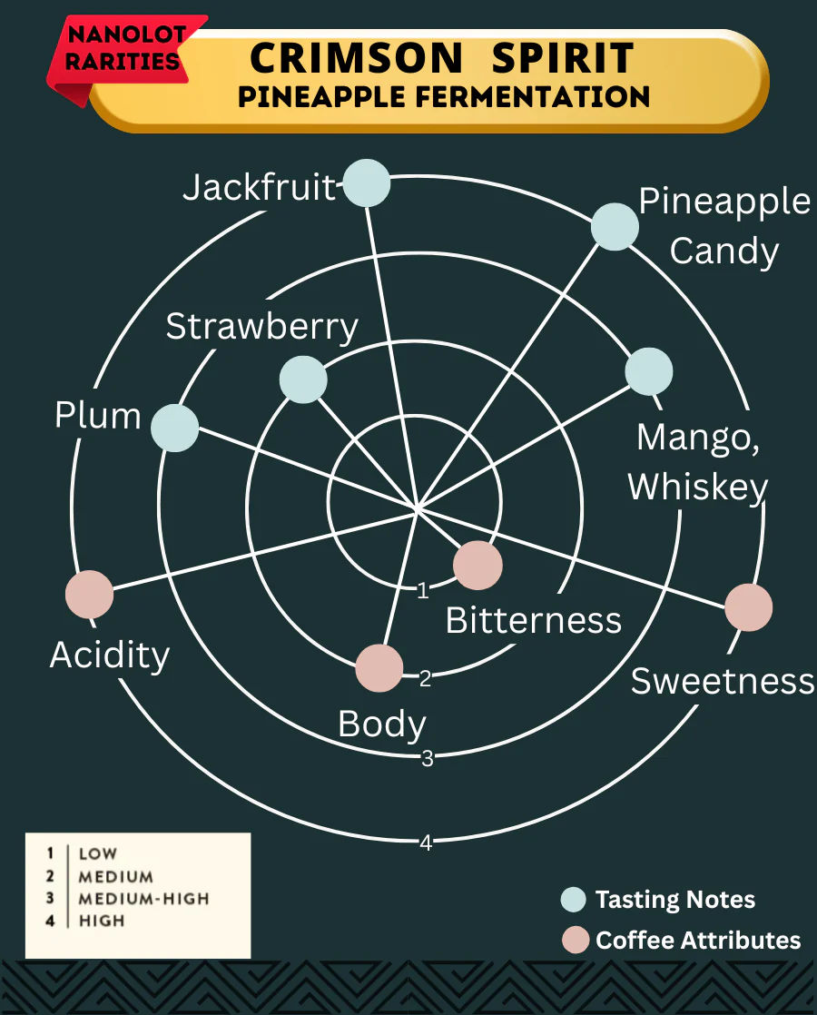 CRIMSON SPIRIT - Pineapple Ferment - Kalyancool Estate (In-House) - Image 2
