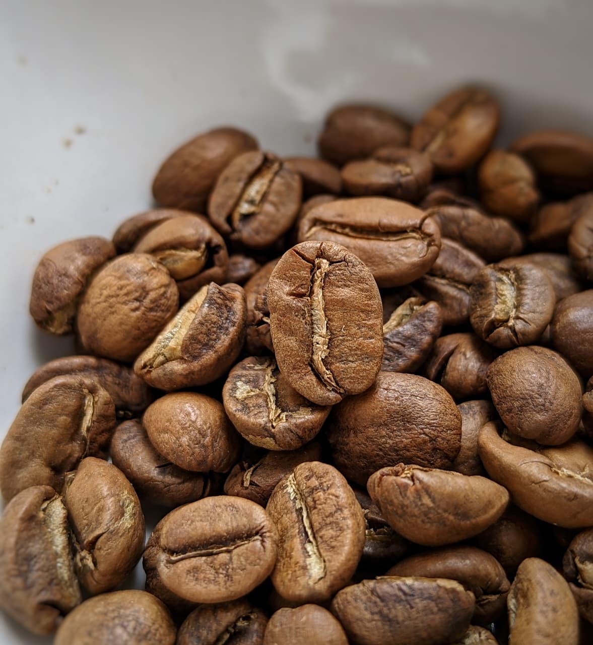 CT ESTATE Golden Jaggery - Red Honey Process - Image 2