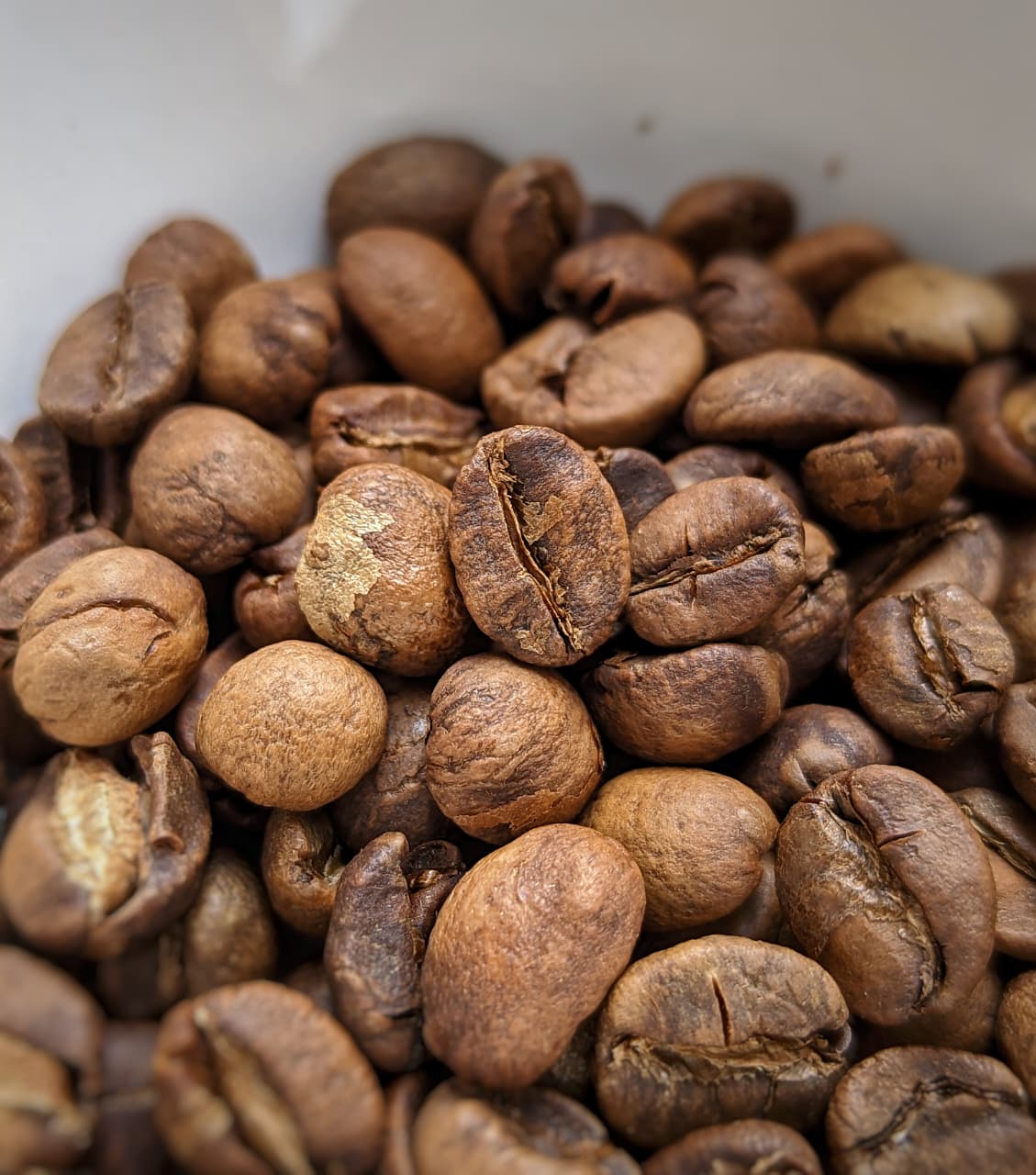 RATNAGIRI Crimson Cranberry Burst - Value | Auto Discounted | No Codes - Image 2