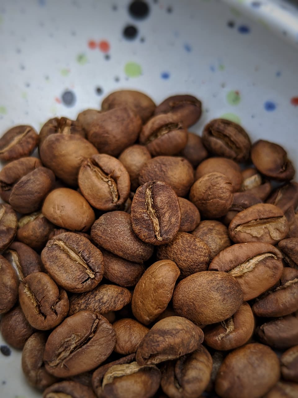 LIORA - Ratnagiri Estate (Lab Microbe Fermentation) - Image 2