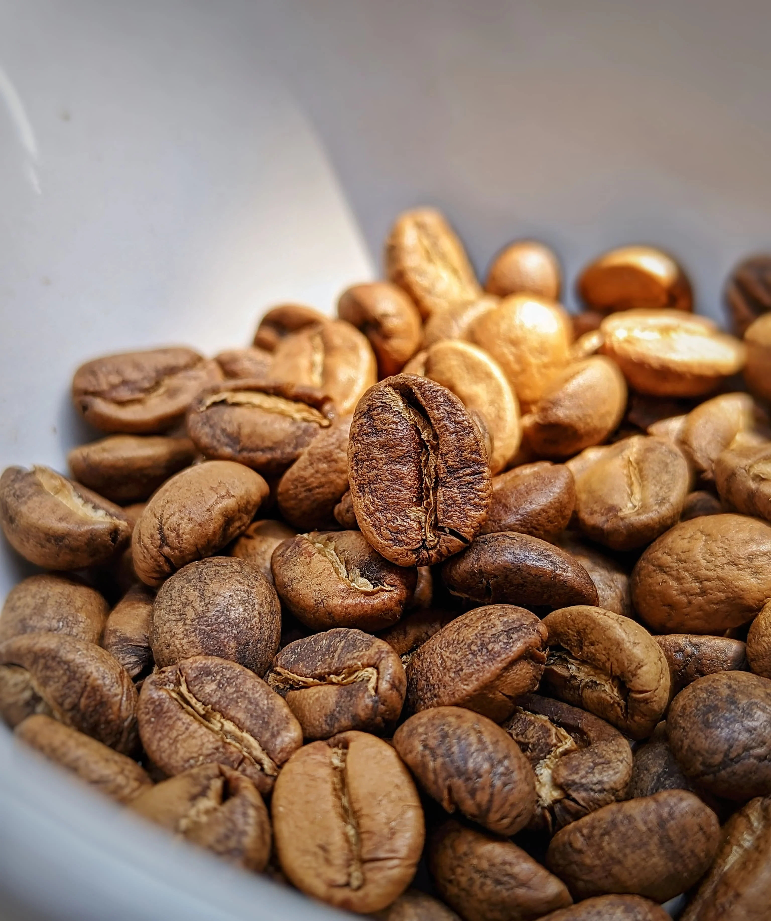 RUM Barrel (No. 9) Aged Coffee - Kalathgiri Estate - Intense Aromatics - Image 2
