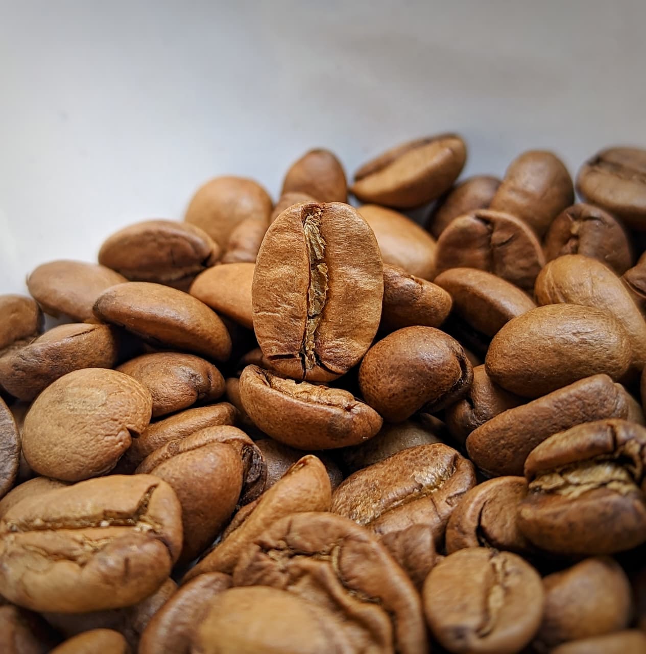 THERMAL SHOCK -  Ruby Pulse - Kalyancool Estate (In-House) - Image 3