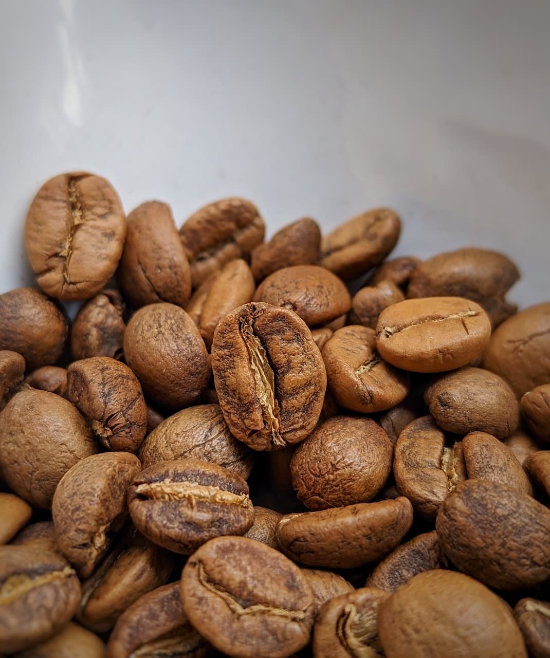 Udaygiri Whisky Barrel Aged Coffee - Image 3