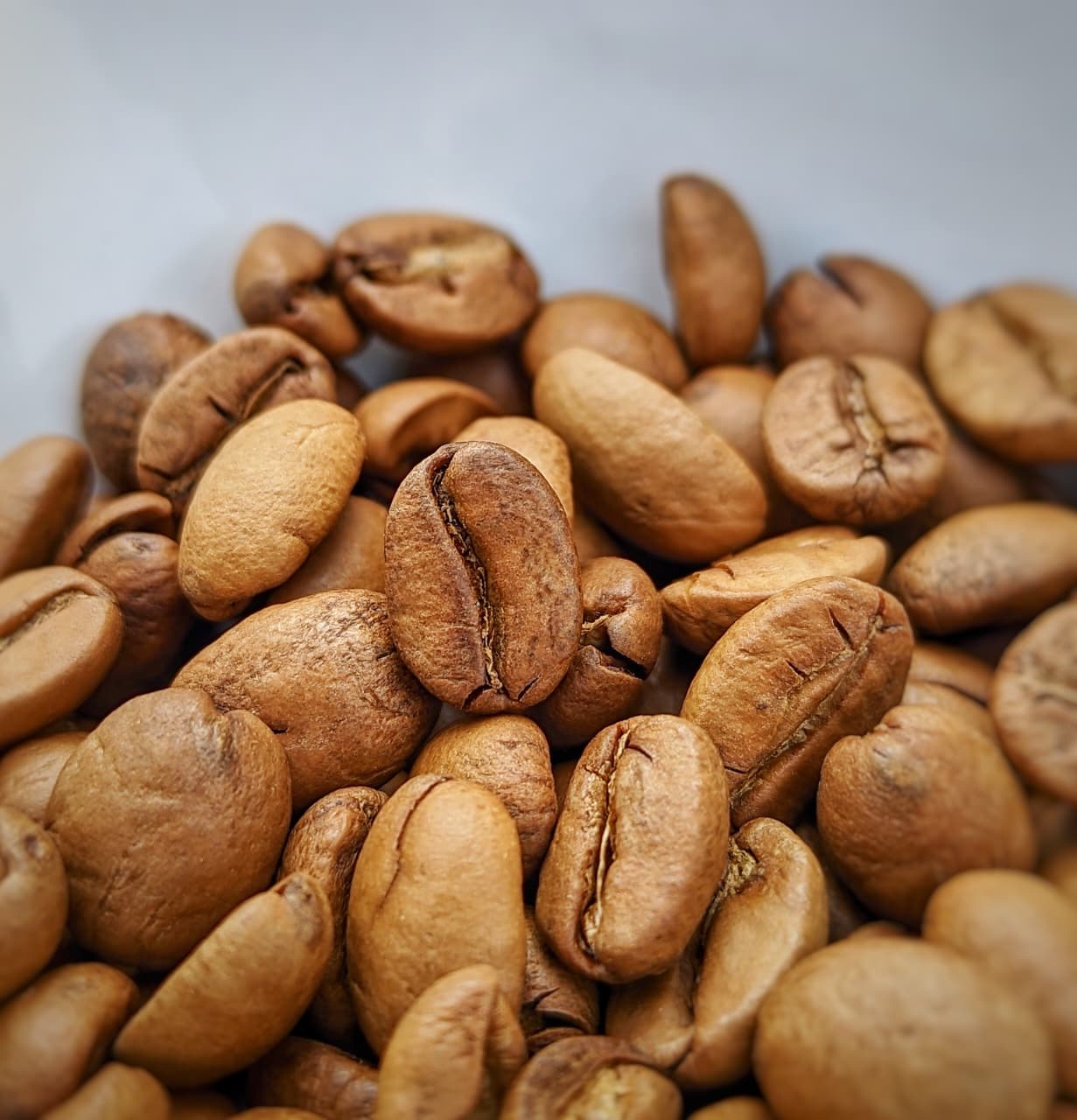 VINUM OBSCURA - Intenso Yeast Ferment - | Auto Discounted | No Codes - Image 2