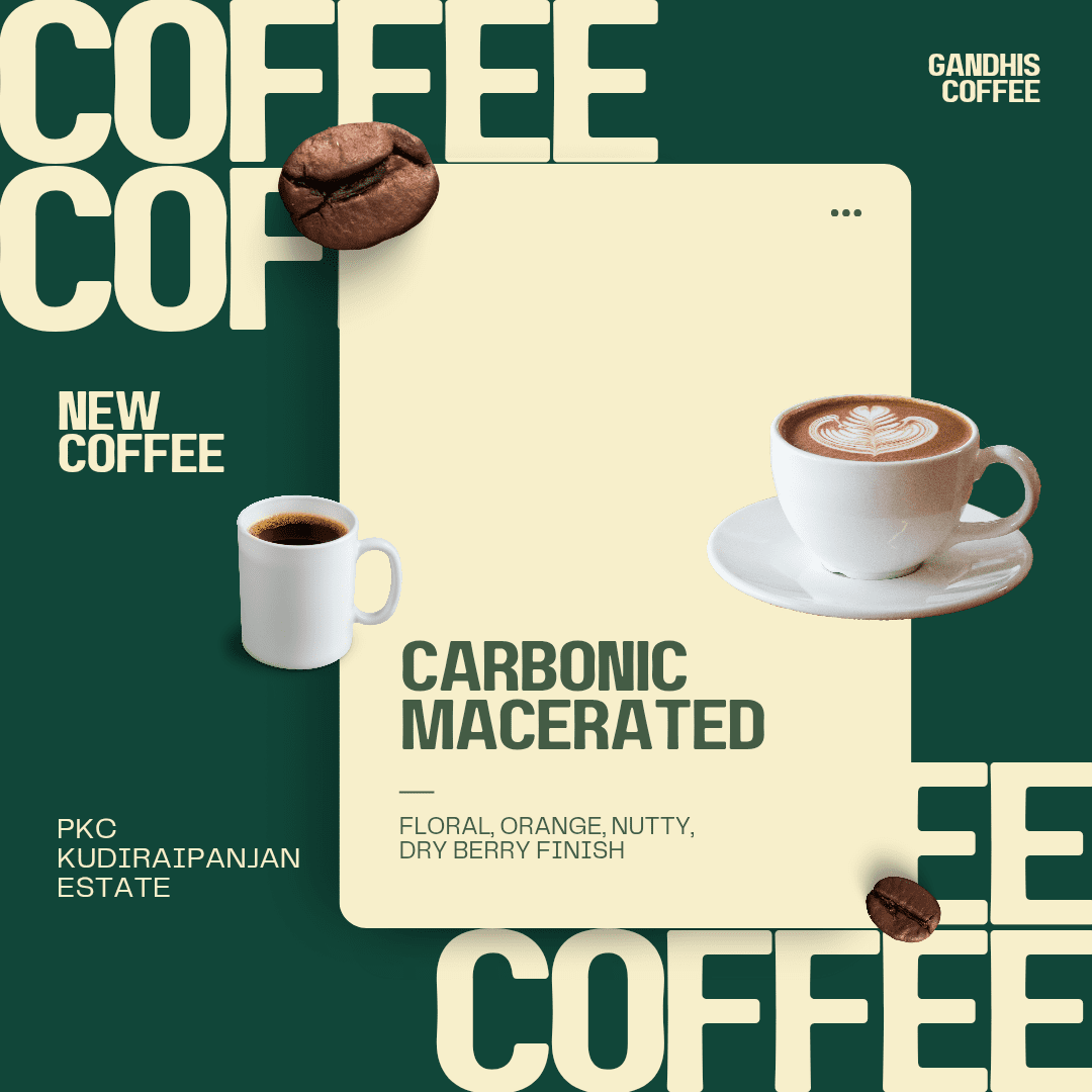 New Coffees_20250226_123944_0001
