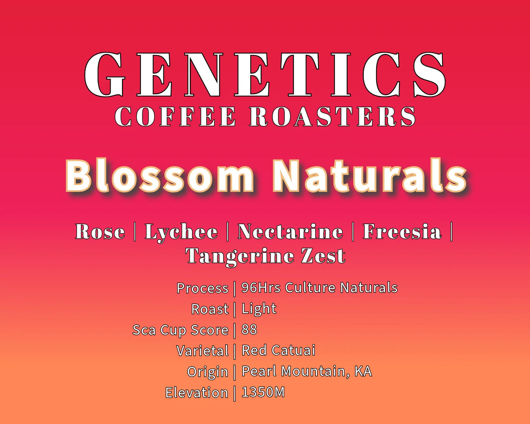 Blossom Naturals - 96hrs Culture Process by Genetics Coffee