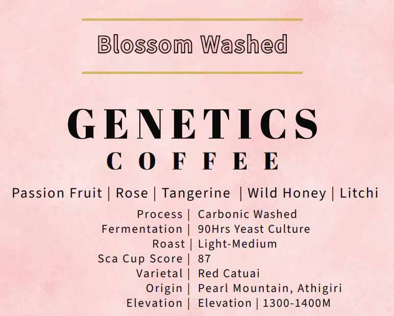 Blossom Washed - 90Hrs Sequential yeast Culture by Genetics Coffee