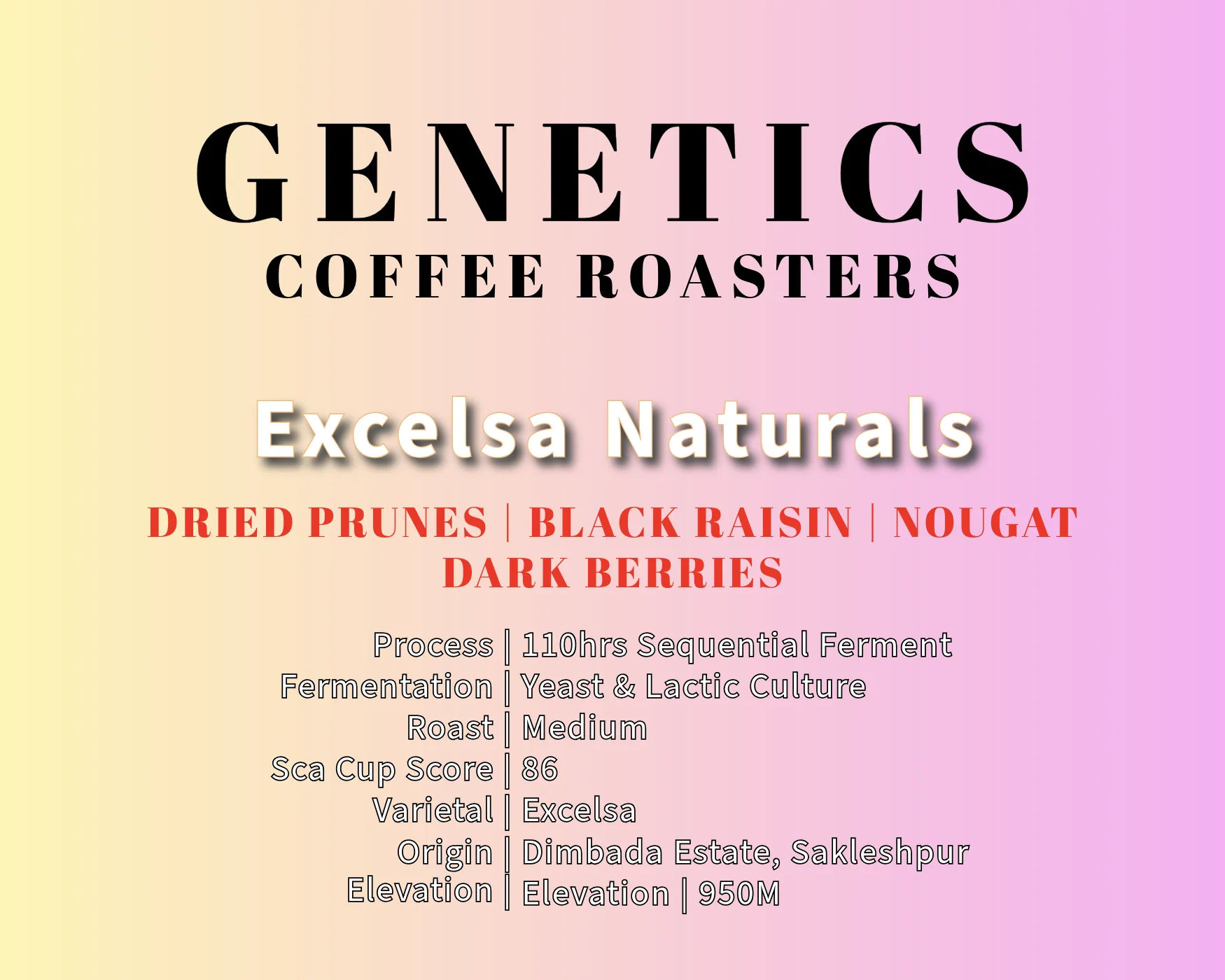 Excelsa Naturals - 110Hrs Sequential Fermented by Genetics Coffee