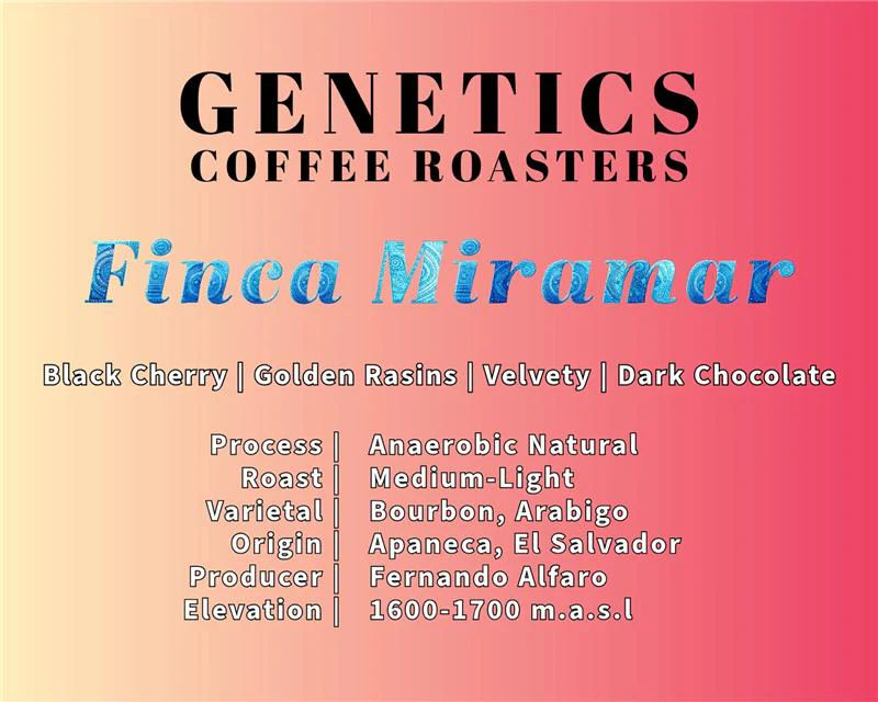 Finca Miramar - El Salvador by Genetics Coffee