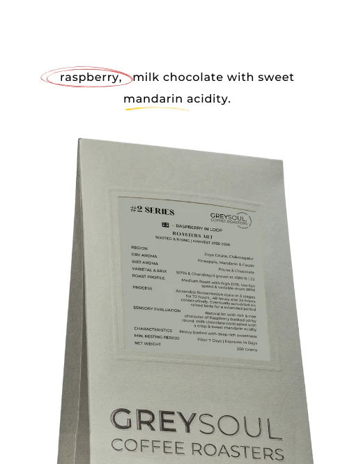 Raspberry in Loop - Image 2