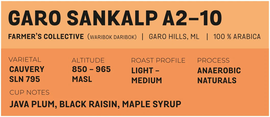 Garo Sankalp A2-10 - Image 2