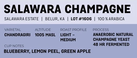 Salawara Champagne - Image 2