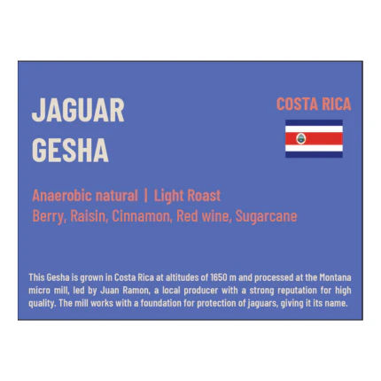Jaguar Gesha (100gm) - Image 2