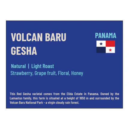 Volcan Baru Gesha (100gm) - Image 2