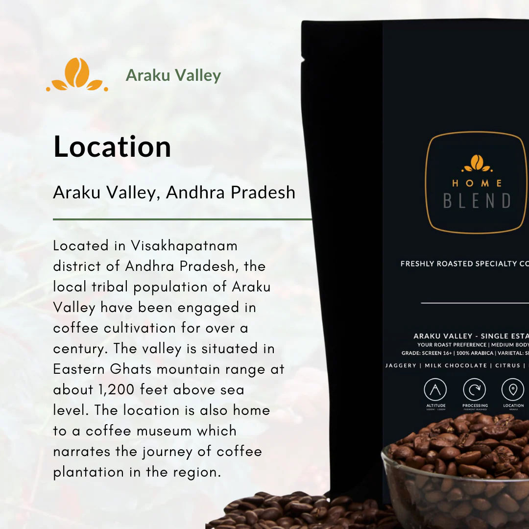Ground Coffee - Araku Valley - Pack of 250g - Image 6