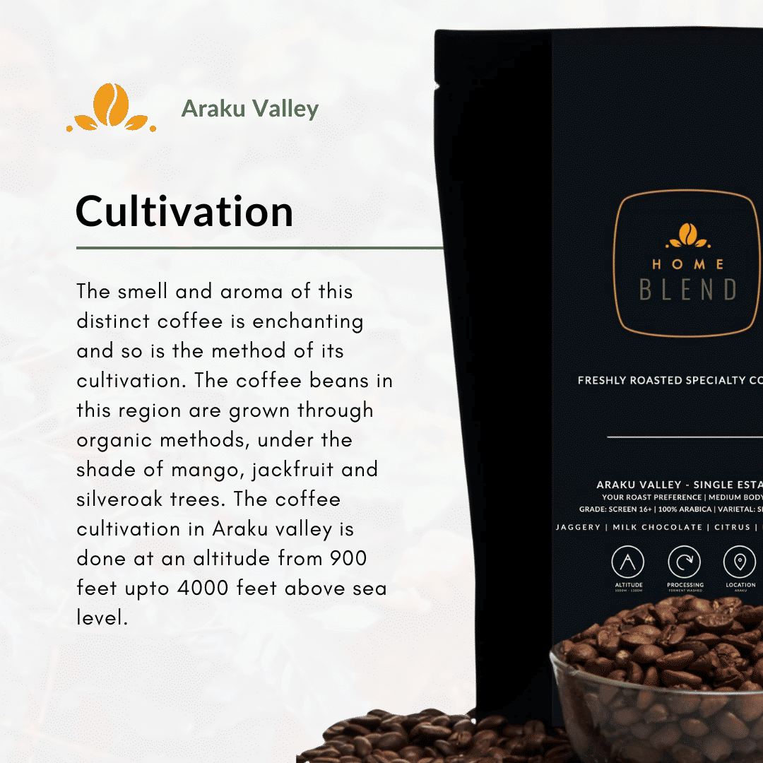 Ground Coffee - Araku Valley - Pack of 250g - Image 7