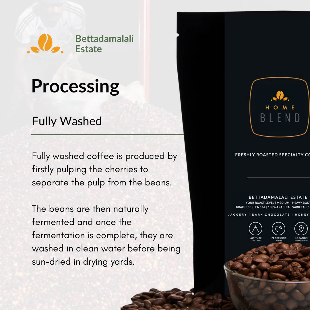 Ground Coffee - Bettadamalali Estate - Pack of 250g - Image 7