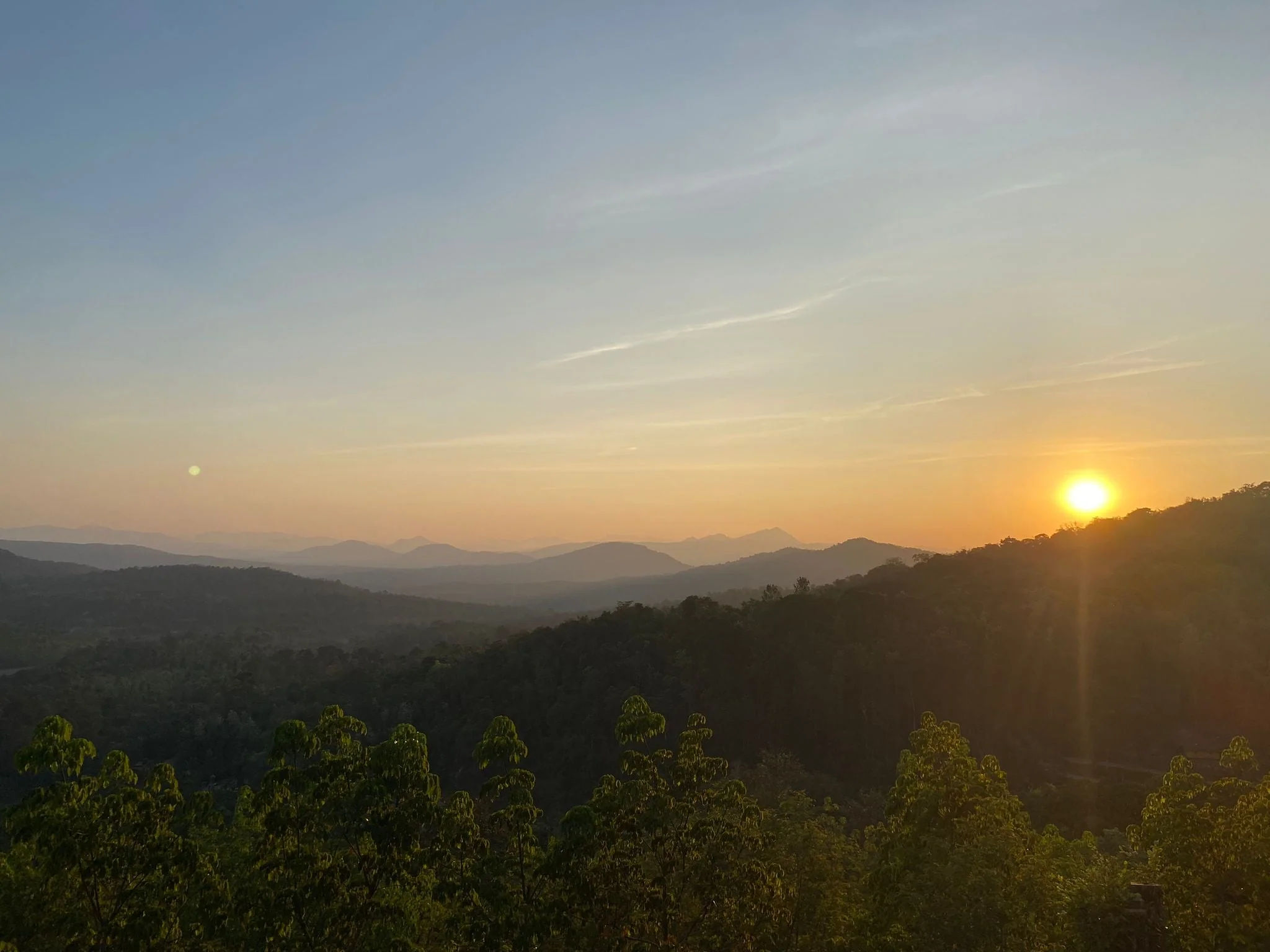 Attikan Estate - Honey Sun - Dried - Medium - Light Roast - kafeido roasters